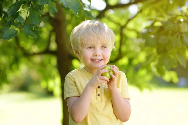 Niño divirtiéndose con manzana en el jardín doméstico . — Foto de Stock