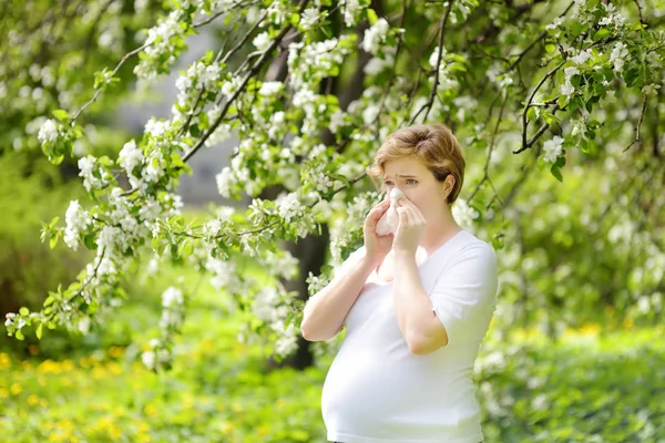 Zwangere jonge vrouw niezen en veegt neus met servet tijdens het lopen in Spring Park. Griep seizoen, koude rhinitis. Allergische personen. — Stockfoto