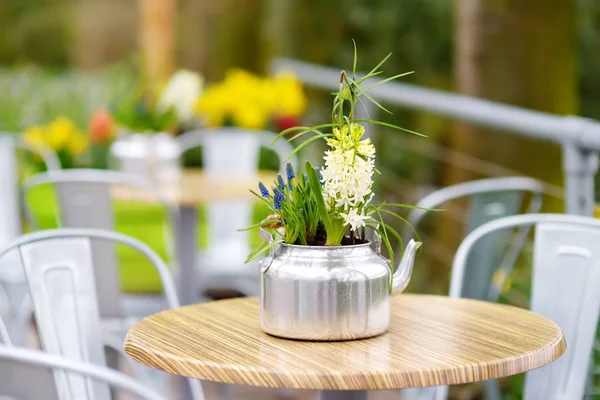春のスタイリッシュな屋外カフェ — ストック写真