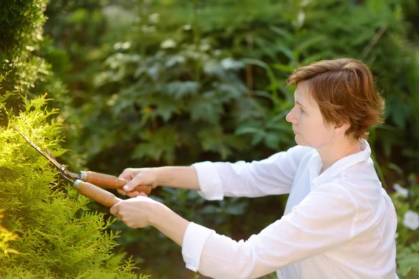 Portrait de jardinière mature. Femme travaillant avec sécateur dans le jardin domestique le jour de l'été . — Photo