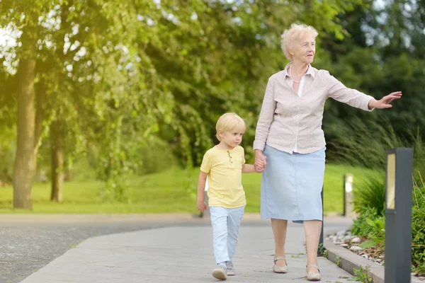 Belle mamie et son petit-enfant marchant ensemble dans le parc . — Photo