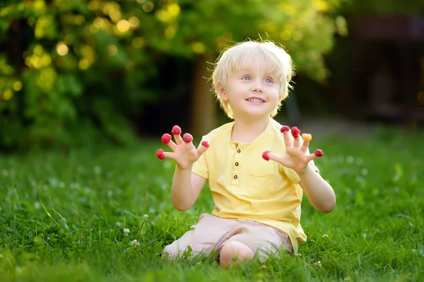 Kleiner Junge blickt auf die Himbeeren an seinen Fingern, die im Hinterhof sitzen — Stockfoto