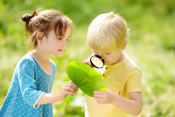 Kids exploring nature with magnifying glass. Close-up. Little boy and girl looking on leaf with magnifier. — Stock Photo, Image