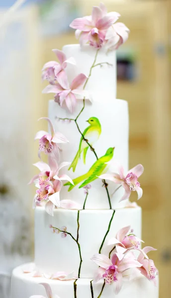 Tradiční slavnostní výročí/svatební dort s více vrstvami. Nádherný lahodný sladký zákusek ozdobený květinami — Stock fotografie