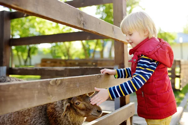 어린 소년이 양을 애지펫. 애완 동물원에서 아이. 동물과 농장에서 재미를 아이. 어린이와 동물. — 스톡 사진