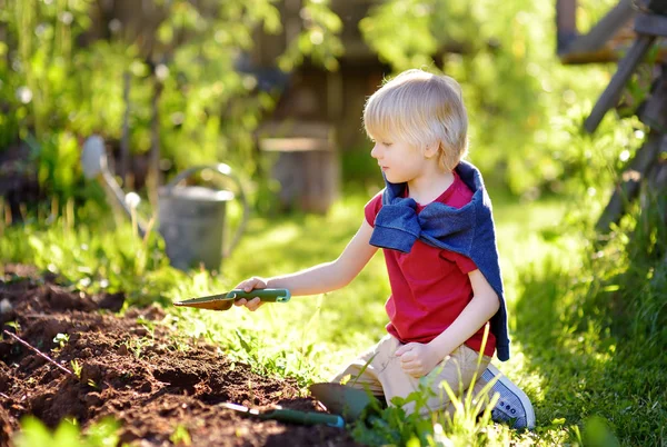 Niño pequeño cavar pala en el patio trasero en verano día soleado. Mamá pequeña ayudante . — Foto de Stock