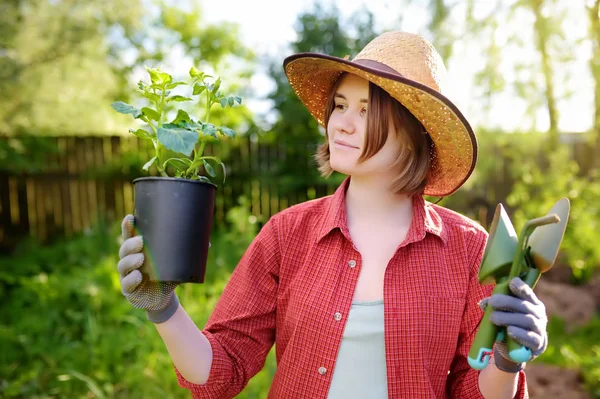 Jovem segurando ferramentas de jardinagem e mudas em vasos de plástico no jardim doméstico no dia ensolarado de verão — Fotografia de Stock