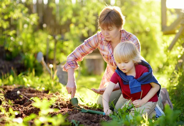 Menino e mulher plantando sementes em camas no quintal. Mamãe pequena ajudante . — Fotografia de Stock