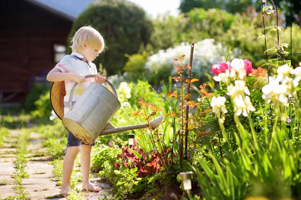 Küçük yakışıklı yaz güneşli gün bahçede bitkilerin sulama. — Stok fotoğraf