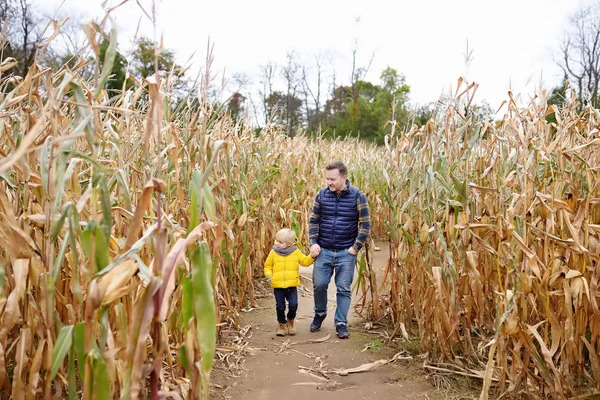 Der kleine Junge und sein Vater amüsieren sich auf dem Kürbismarkt im Herbst. Familie spaziert zwischen den getrockneten Maishalmen in einem Maislabyrinth. Traditionelles amerikanisches Amüsement auf Jahrmarkt. — Stockfoto