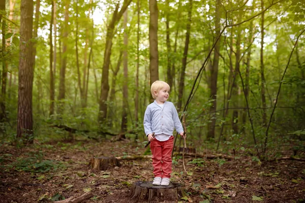 Kleiner Junge beim Waldspaziergang im Frühling, Sommer oder Herbst auf Holzstumpf spielend. — Stockfoto