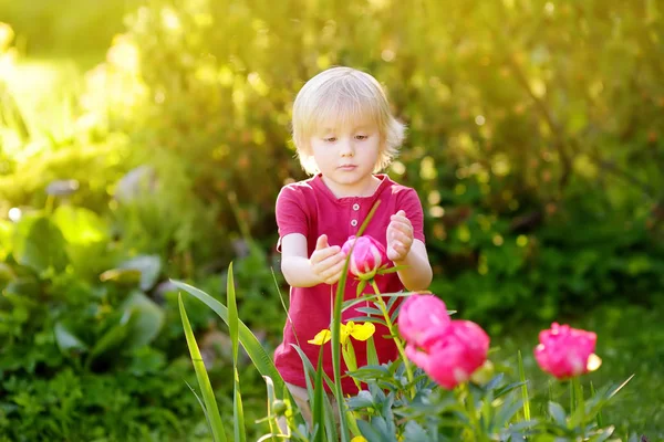 かわいい男の子を見て驚くほど日当たりの良い国内ガーデン紫と白牡丹 — ストック写真