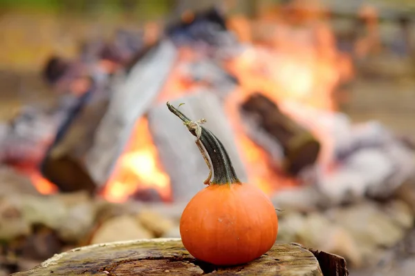 Pumpkin on background of bonfire on halloween celebrations party in forest. — Stock Photo, Image