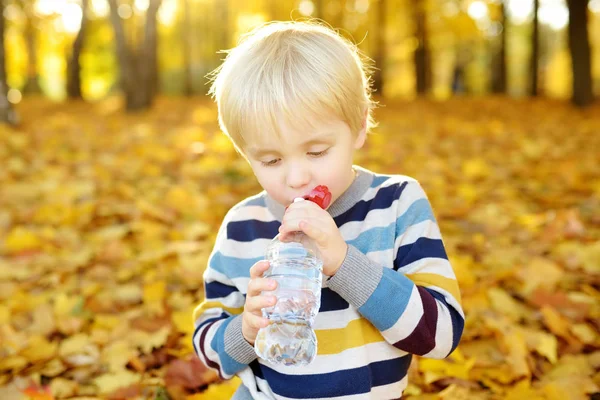 Kleine jongen drinkt water tijdens het wandelen in de herfst in bos of Park — Stockfoto