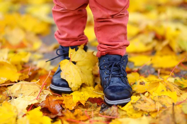 Foto ravvicinata di gambe di bambino in stivali su sfondo di foglie d'acero d'oro . — Foto Stock