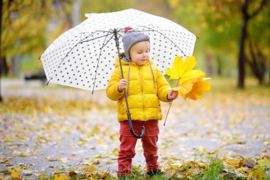 Küçük çocuk yağmurlu sonbahar günü şehir Park'ta yürüyordunuz. Yürümeye başlayan çocuk şemsiye için Güz hava ile
