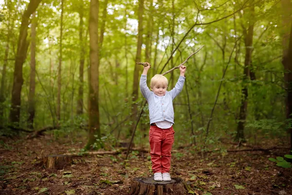 Kleiner Junge beim Spaziergang im Wald am Frühlings-, Sommer- oder Herbsttag mit Stöcken auf Holzstumpf. — Stockfoto
