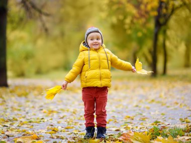 Güneşli sonbahar gününde ormanda yürüyüş sırasında küçük çocuk. Doğada aktif aile zamanı.
