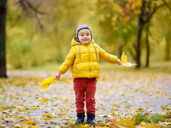 晴れた秋の日に森の中を散歩中の小さな男の子。自然に関するアクティブな家族の時間. — ストック写真