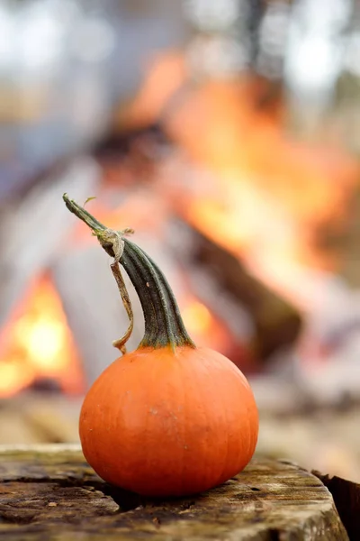 Citrouille sur fond de feu de joie lors des fêtes d'Halloween en forêt . — Photo