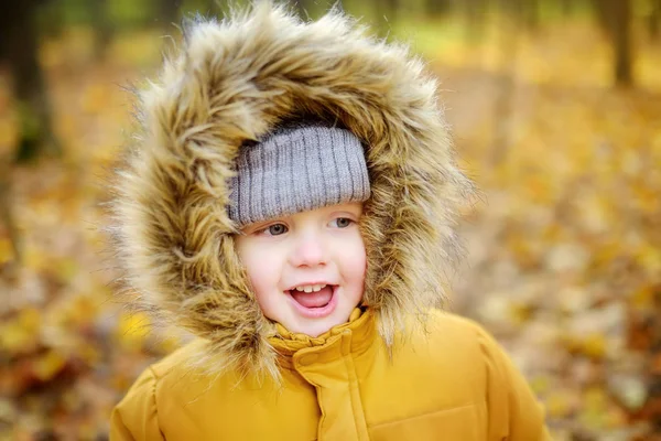 Μικρό αγόρι κατά τη διάρκεια του περίπατο στο δάσος την κρύα ηλιόλουστη μέρα του φθινοπώρου — Φωτογραφία Αρχείου