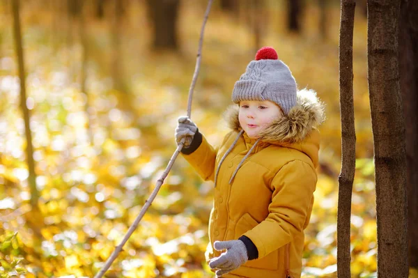Malý chlapec během procházky v lese za slunného podzimní den — Stock fotografie
