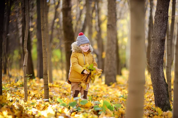 Kleiner Junge bei einem Waldspaziergang an einem kalten, sonnigen Herbsttag — Stockfoto