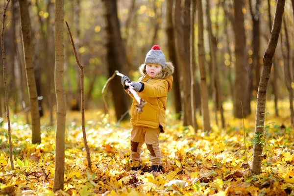 Ragazzino durante una passeggiata nella foresta nella fredda giornata autunnale soleggiata — Foto Stock