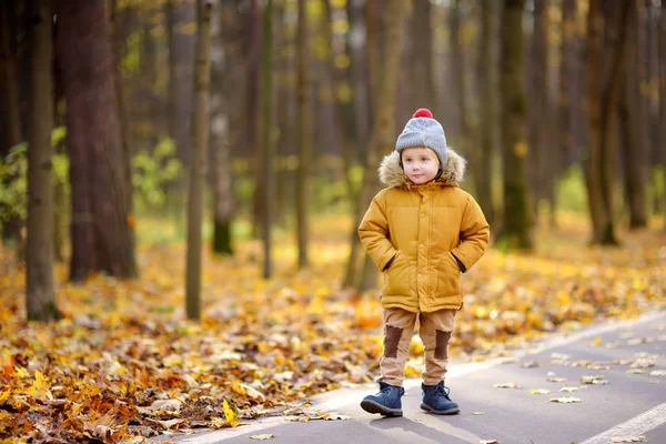 Kleiner Junge beim Spaziergang in einem öffentlichen Park an einem kalten, sonnigen Herbsttag — Stockfoto