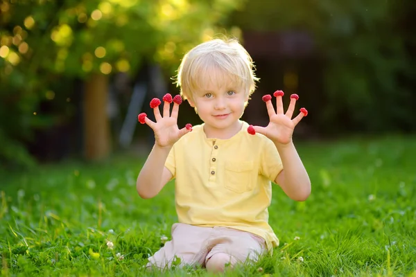 Kleine jongen kijkt naar de frambozen op zijn vingers zittend in de achtertuin — Stockfoto