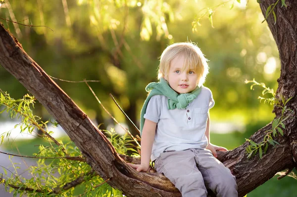 Malý chlapec sedí na větvi velkého stromu a sní. Dětské hry. Aktivní rodinný čas na přírodě. Pěší turistika s dětmi. — Stock fotografie
