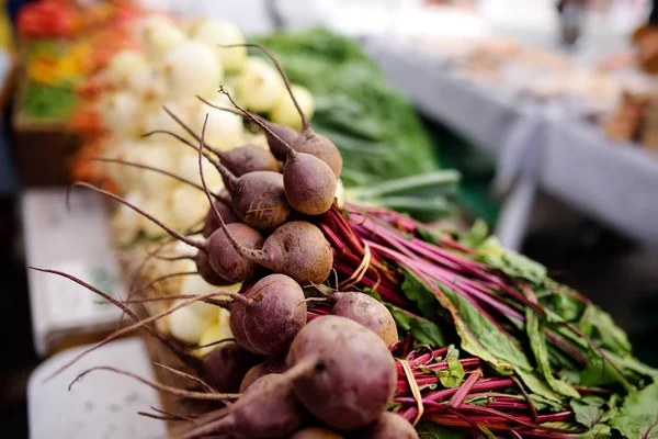 New York çiftçi tarım pazarında taze sağlıklı organik pancar — Stok fotoğraf