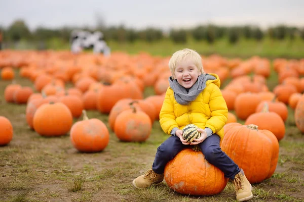 Niño divirtiéndose en un recorrido por una granja de calabazas en otoño. Niño sentado en calabaza gigante . — Foto de Stock