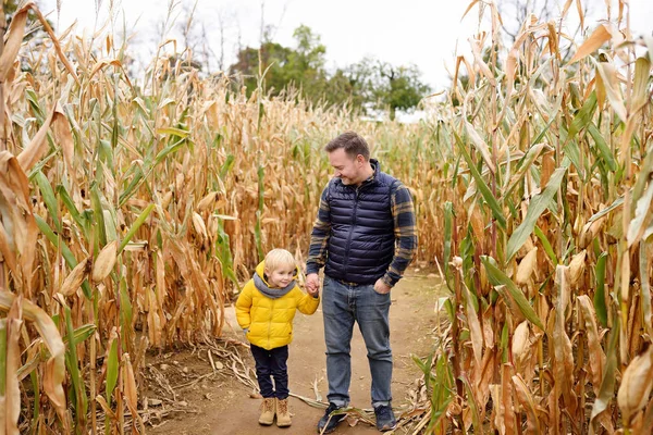 Der kleine Junge und sein Vater amüsieren sich auf dem Kürbismarkt im Herbst. Familie spaziert zwischen den getrockneten Maishalmen in einem Maislabyrinth. Traditionelles amerikanisches Amüsement auf Jahrmarkt. — Stockfoto