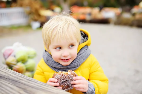 Niño almorzando después de comprar en el mercado agrícola tradicional del granjero en otoño. Niño comiendo rosquillas. Cerca de niño en el banco es una bolsa grande con manzanas frescas . — Foto de Stock