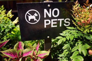 Yasak tahta - evcil hayvanlar için yasak - New York caddesinde çim.