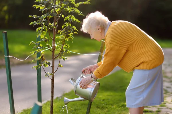 Femme âgée qui arrose un arbre à partir d'un arrosoir dans un parc public ou un jardin communautaire — Photo