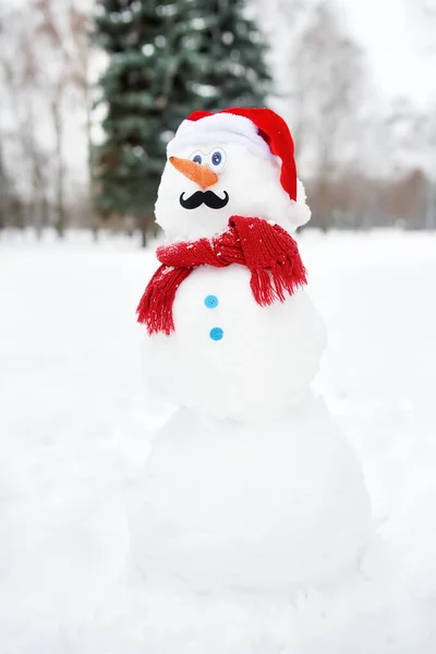 Handmade snowman with a scarf, Santa Claus hat, carrot nose and mustache in a snowy park. — Stock Photo, Image