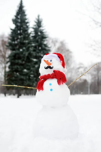 Handmade snowman with a scarf, Santa Claus hat, carrot nose, mustache and hands from branches in a snowy park. — Stock Photo, Image