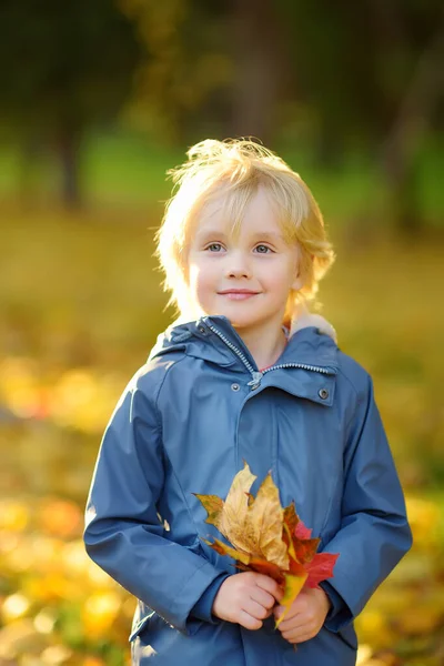 Portrait of a cute blond little boy with maple leaves in autumn park. — Stock Photo, Image