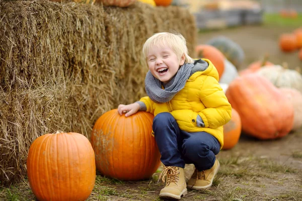 Niño pequeño en un recorrido por una granja de calabazas en otoño. Niño sentado cerca de calabaza gigante . — Foto de Stock