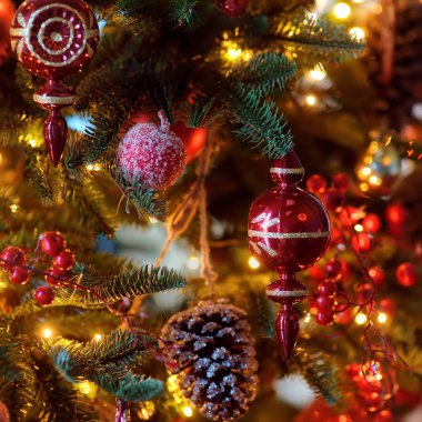 Yılbaşı ağacı koni, takı, böğürtlen ve aydınlatıcı çelenkle süsleniyor. Eve Xmas.