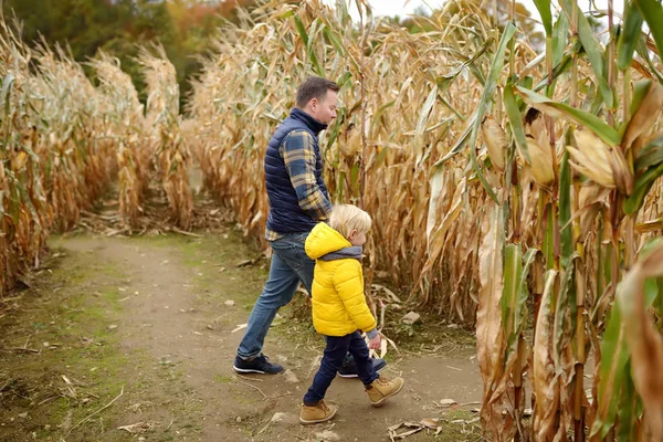 Familie spaziert zwischen den getrockneten Maishalmen in einem Maislabyrinth. — Stockfoto