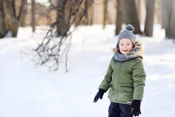 Χαριτωμένο αγοράκι διασκεδάζει παίζοντας κατά τη διάρκεια του περπατήματος στο χιονισμένο πάρκο . — Φωτογραφία Αρχείου