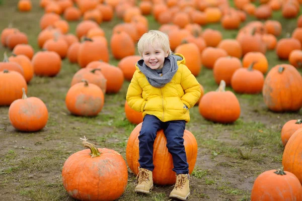 Ragazzino che si diverte in un tour di una fattoria di zucche in autunno. Bambino seduto su zucca gigante . — Foto Stock