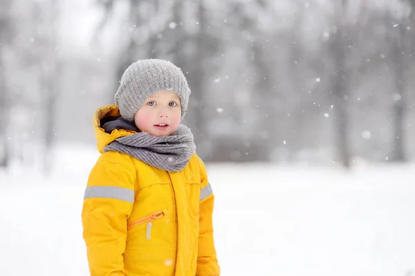 Aranyos kisfiú szórakozás játék közben séta a havas parkban . — Stock Fotó