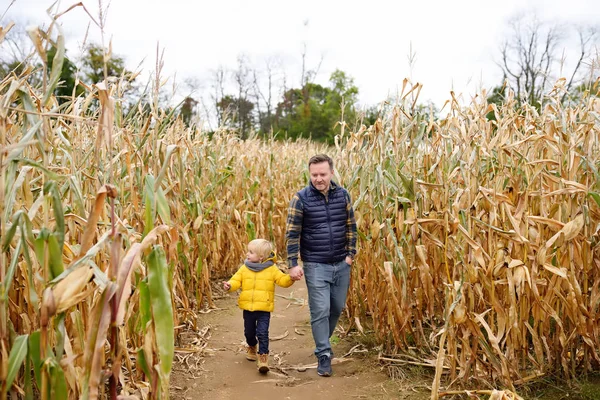Familie spaziert zwischen den getrockneten Maishalmen in einem Maislabyrinth. — Stockfoto