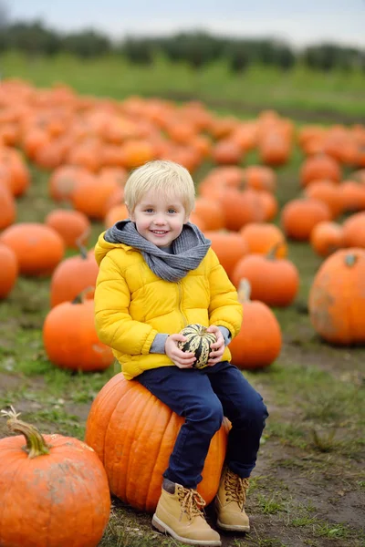 Ragazzino in giro per una fattoria di zucche in autunno. Bambino seduto su zucca gigante . — Foto Stock