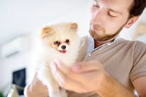 Młody człowiek z 2-miesięcznym pomerańskim szczeniakiem. Kochający mężczyzna właściciel ze swoim domowym zwierzakiem. — Zdjęcie stockowe
