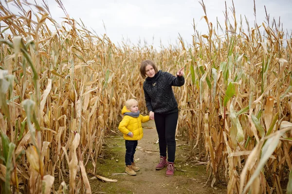 Kleiner Junge mit junger Mutter amüsiert sich auf dem Kürbismarkt im Herbst. Person, die zwischen den getrockneten Maishalmen in einem Maislabyrinth spaziert. — Stockfoto